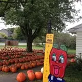 Iowa Orchard photo