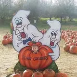 Iowa Orchard photo