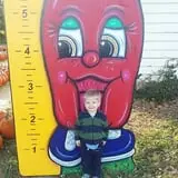 Iowa Orchard photo