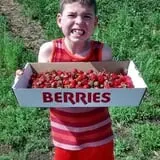 Iowa Orchard photo