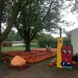 Iowa Orchard photo