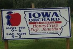 Iowa Orchard