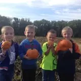 P and M Pumpkin Ranch LLC photo