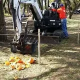 P and M Pumpkin Ranch LLC photo