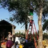 P and M Pumpkin Ranch LLC photo