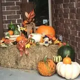 P and M Pumpkin Ranch LLC photo