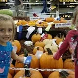 P and M Pumpkin Ranch LLC photo