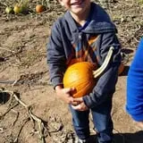 P and M Pumpkin Ranch LLC photo