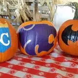 P and M Pumpkin Ranch LLC photo