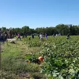 P and M Pumpkin Ranch LLC photo