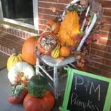 P and M Pumpkin Ranch LLC photo