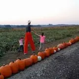 P and M Pumpkin Ranch LLC photo