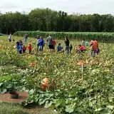 P and M Pumpkin Ranch LLC photo