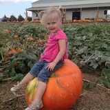 P and M Pumpkin Ranch LLC photo
