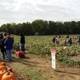 P and M Pumpkin Ranch LLC photo