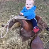 P and M Pumpkin Ranch LLC photo