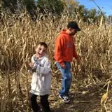 P and M Pumpkin Ranch LLC photo