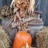 P and M Pumpkin Ranch LLC photo