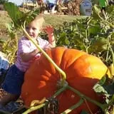 P and M Pumpkin Ranch LLC photo