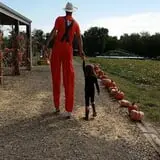 P and M Pumpkin Ranch LLC photo