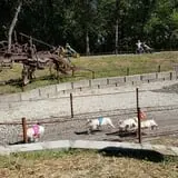 P and M Pumpkin Ranch LLC photo