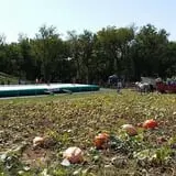 P and M Pumpkin Ranch LLC photo