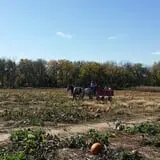 P and M Pumpkin Ranch LLC photo
