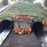 P and M Pumpkin Ranch LLC photo