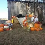 P and M Pumpkin Ranch LLC photo