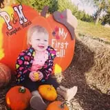 P and M Pumpkin Ranch LLC photo