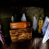 Nightmare Forest photo