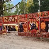 Nightmare Forest photo