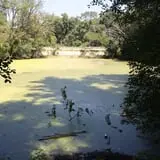 Bachelor's Grove Cemetery photo
