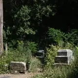 Bachelor's Grove Cemetery photo
