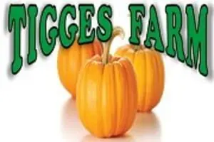Tigges Farm Produce and Pumpkin Patch
