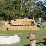 Shuckle's Corn Maze & Pumpkin Patch at Fiddle Dee Farms photo