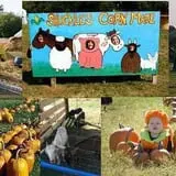 Shuckle's Corn Maze & Pumpkin Patch at Fiddle Dee Farms photo