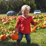 Shuckle's Corn Maze & Pumpkin Patch at Fiddle Dee Farms photo