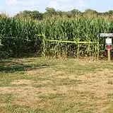 Shuckle's Corn Maze & Pumpkin Patch at Fiddle Dee Farms photo