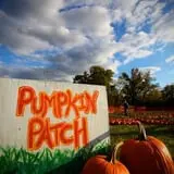 Shuckle's Corn Maze & Pumpkin Patch at Fiddle Dee Farms photo