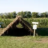 Shuckle's Corn Maze & Pumpkin Patch at Fiddle Dee Farms photo