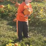 Shuckle's Corn Maze & Pumpkin Patch at Fiddle Dee Farms photo