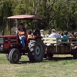 Shuckle's Corn Maze & Pumpkin Patch at Fiddle Dee Farms photo