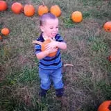 Shuckle's Corn Maze & Pumpkin Patch at Fiddle Dee Farms photo