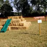 Shuckle's Corn Maze & Pumpkin Patch at Fiddle Dee Farms photo