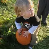 Shuckle's Corn Maze & Pumpkin Patch at Fiddle Dee Farms photo