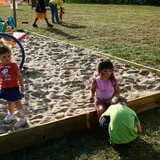 Shuckle's Corn Maze & Pumpkin Patch at Fiddle Dee Farms photo