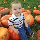 Shuckle's Corn Maze & Pumpkin Patch at Fiddle Dee Farms photo