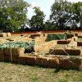 Shuckle's Corn Maze & Pumpkin Patch at Fiddle Dee Farms photo