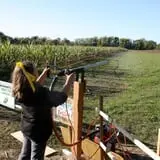 Shuckle's Corn Maze & Pumpkin Patch at Fiddle Dee Farms photo